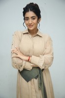 Rashi Singh at Paanch Minar Success Meet